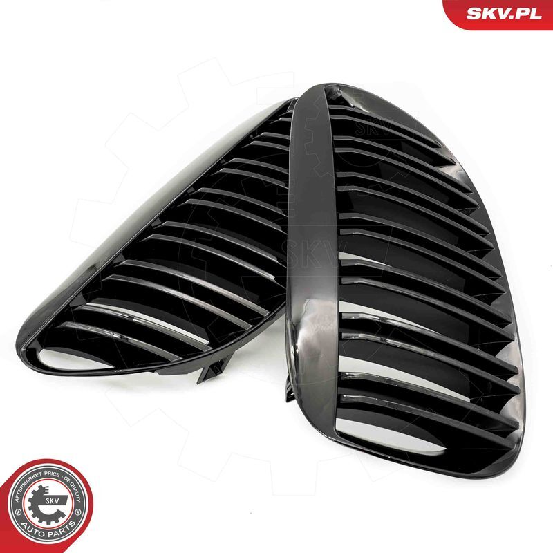 ESEN SKV, Grille de radiateur