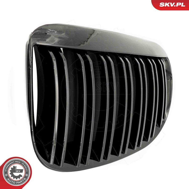 ESEN SKV, Grille de radiateur