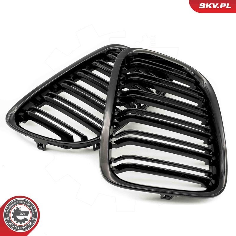 ESEN SKV, Grille de radiateur