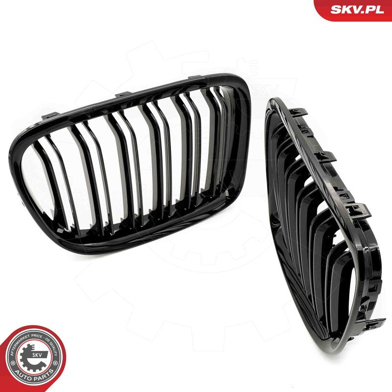 ESEN SKV, Grille de radiateur