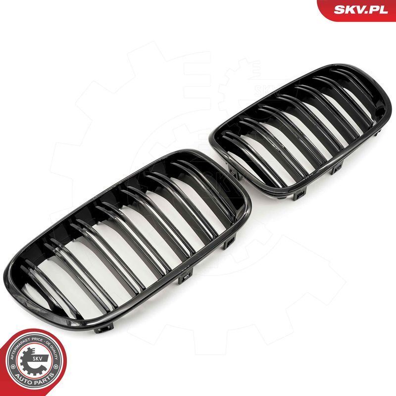 ESEN SKV, Grille de radiateur