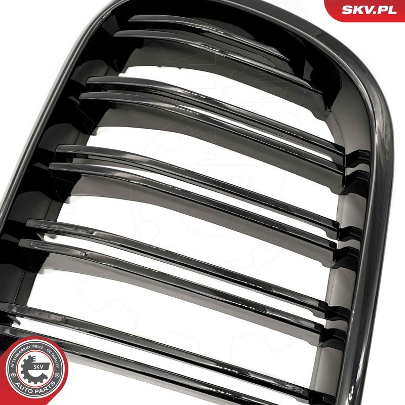 ESEN SKV, Grille de radiateur