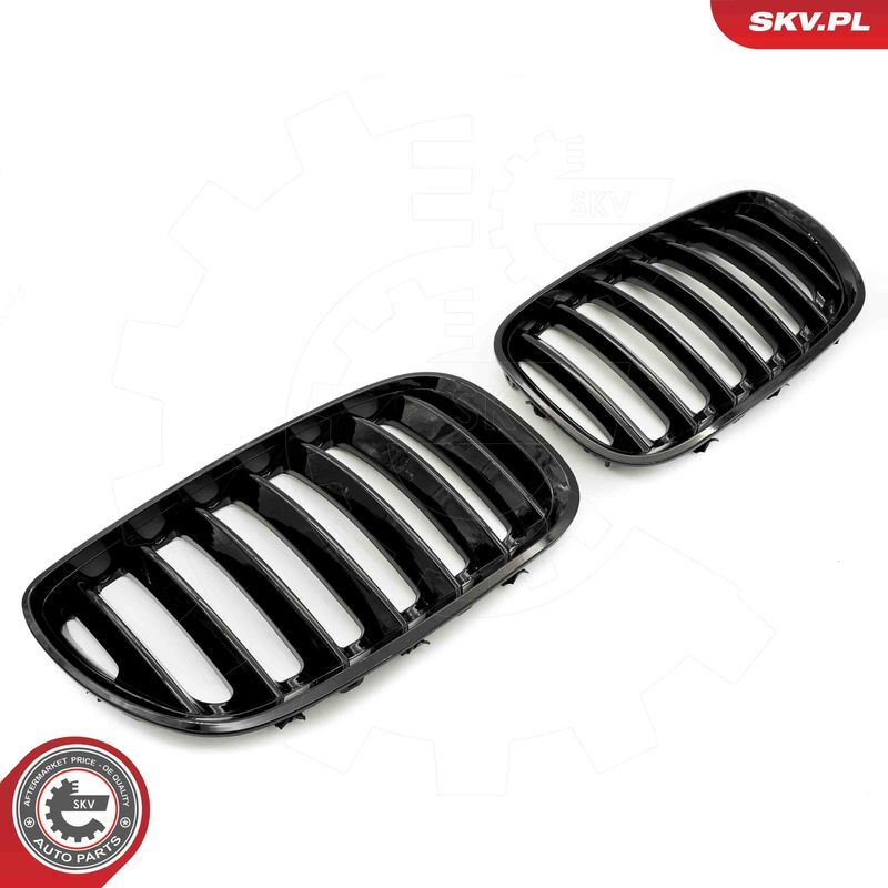 ESEN SKV, Grille de radiateur