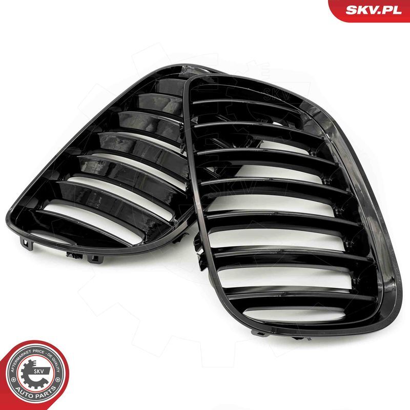 ESEN SKV, Grille de radiateur