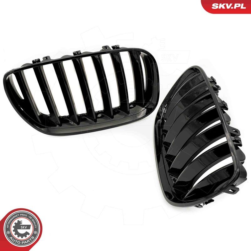 ESEN SKV, Grille de radiateur