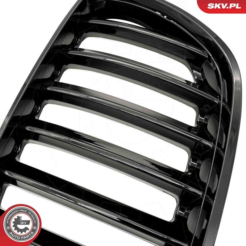 ESEN SKV, Grille de radiateur