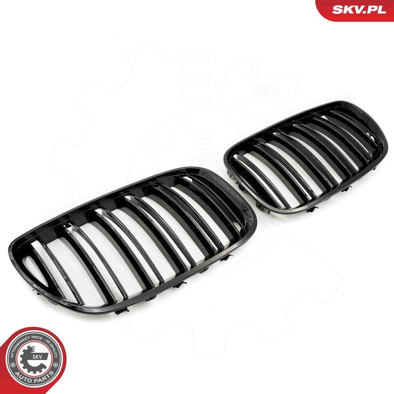 ESEN SKV, Grille de radiateur