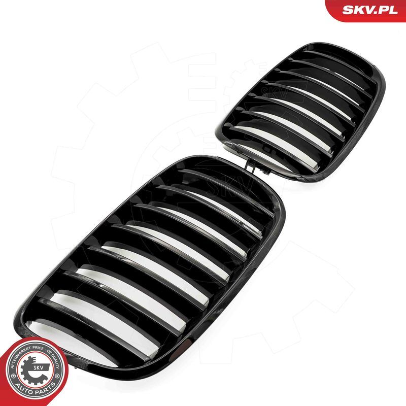 ESEN SKV, Grille de radiateur