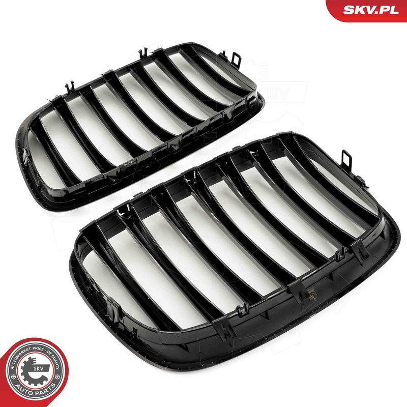 ESEN SKV, Grille de radiateur