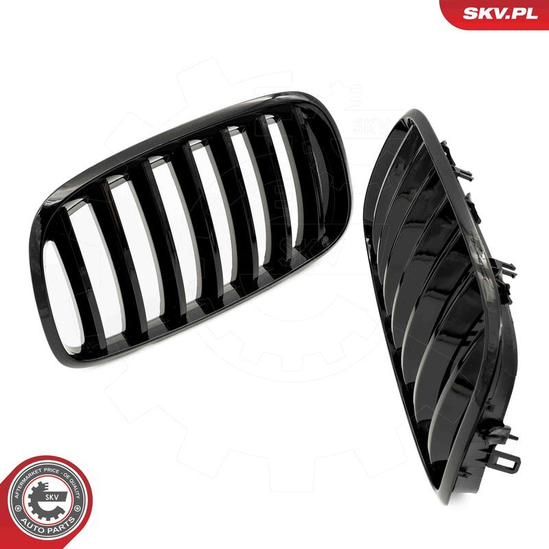 ESEN SKV, Grille de radiateur