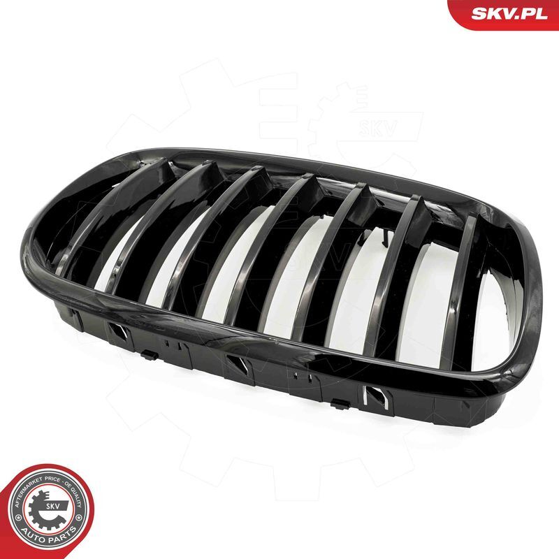 ESEN SKV, Grille de radiateur