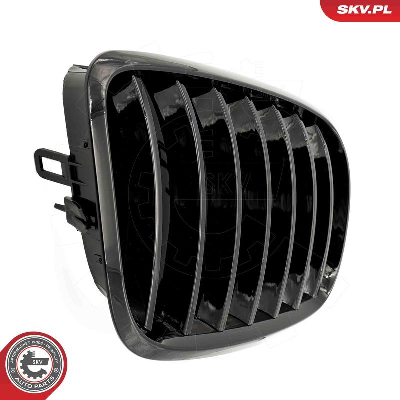 ESEN SKV, Grille de radiateur