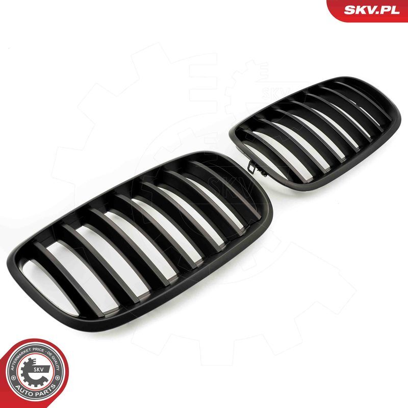 ESEN SKV, Grille de radiateur