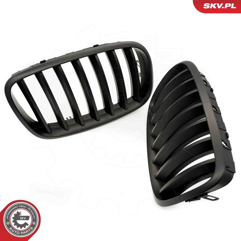 ESEN SKV, Grille de radiateur