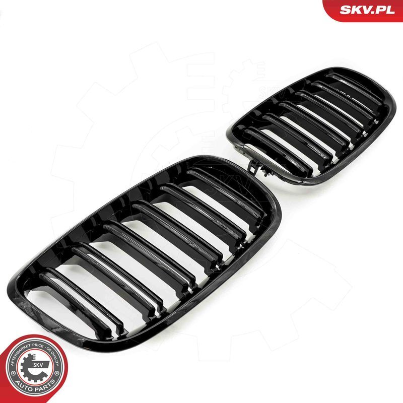 ESEN SKV, Grille de radiateur