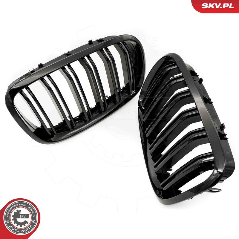 ESEN SKV, Grille de radiateur