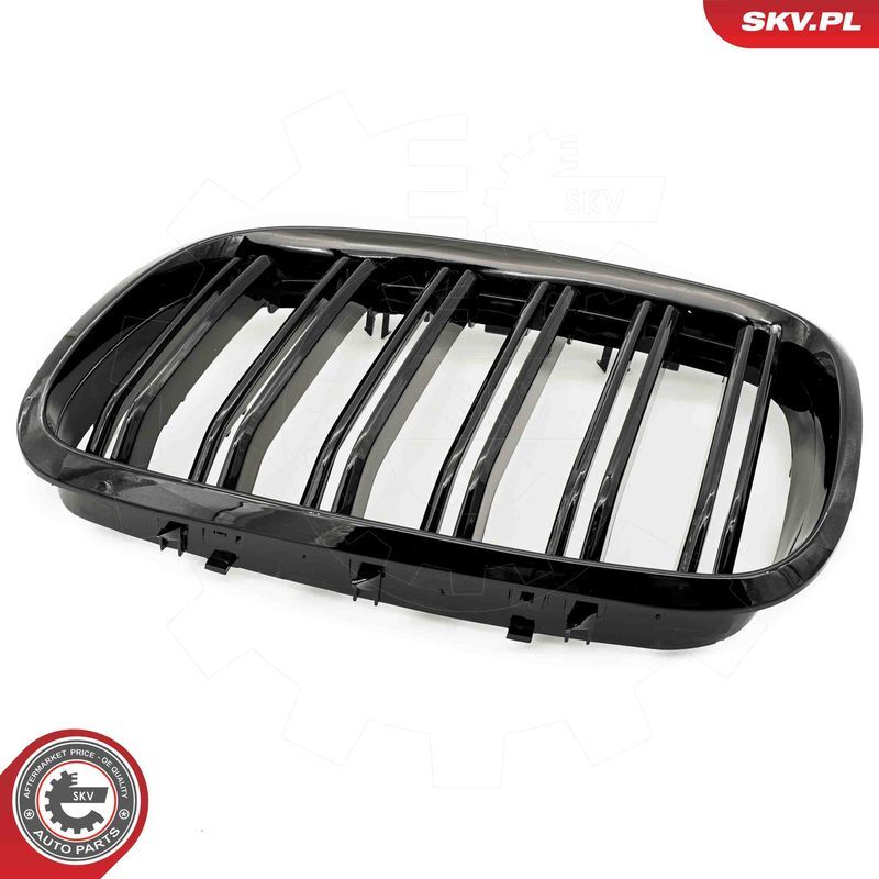 ESEN SKV, Grille de radiateur