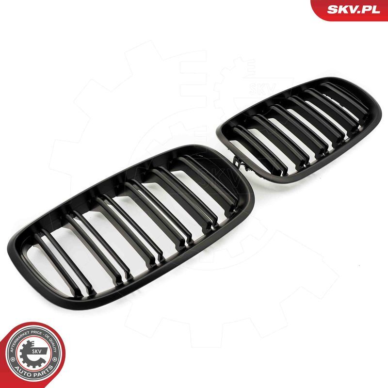 ESEN SKV, Grille de radiateur