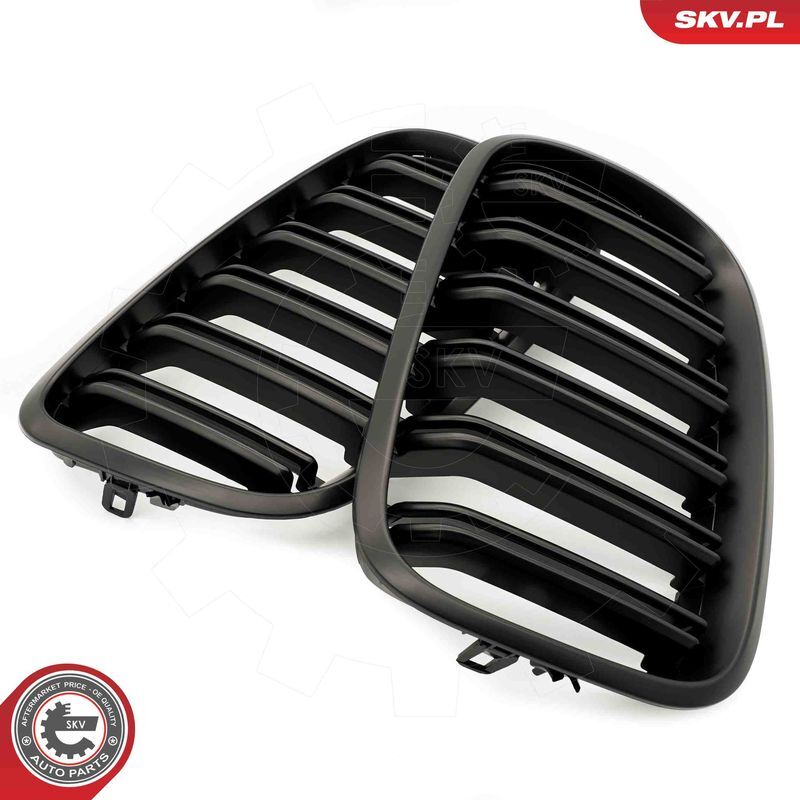 ESEN SKV, Grille de radiateur