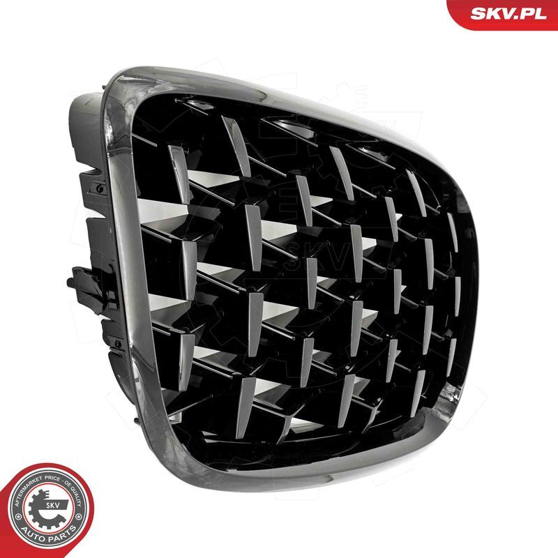 ESEN SKV, Grille de radiateur