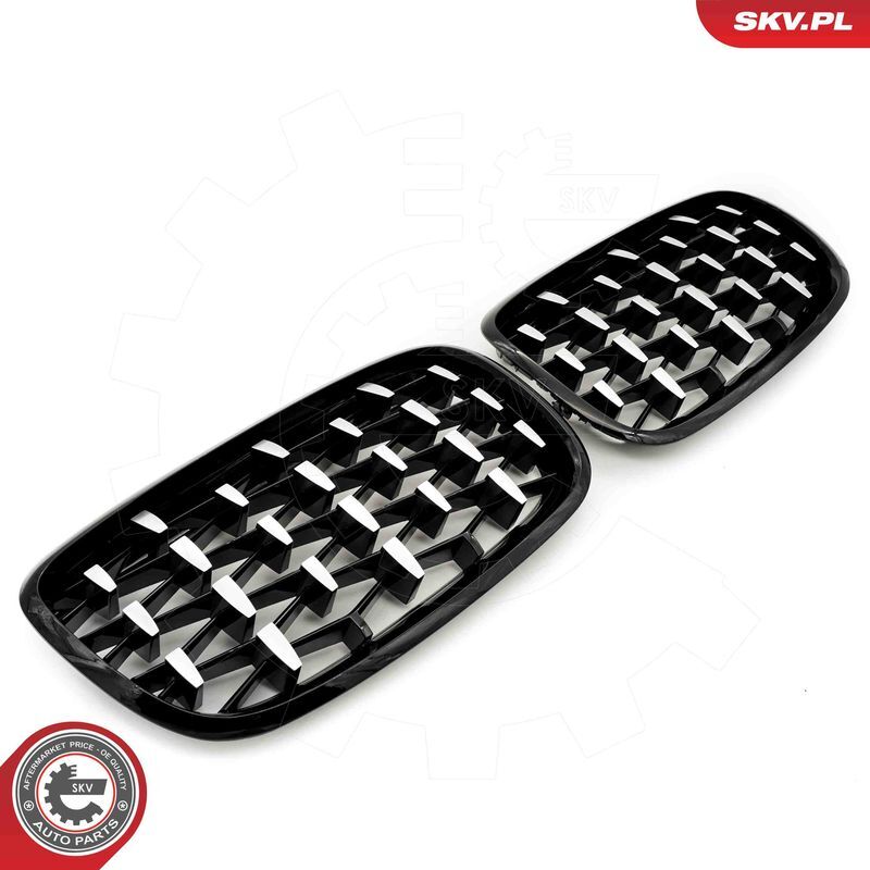 ESEN SKV, Grille de radiateur