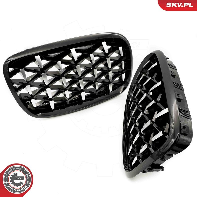 ESEN SKV, Grille de radiateur