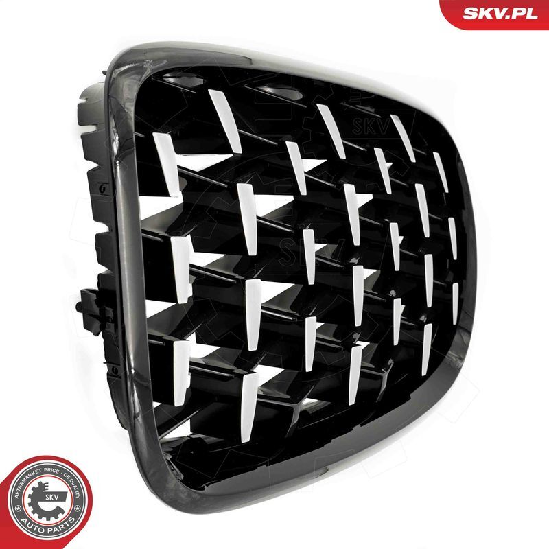 ESEN SKV, Grille de radiateur