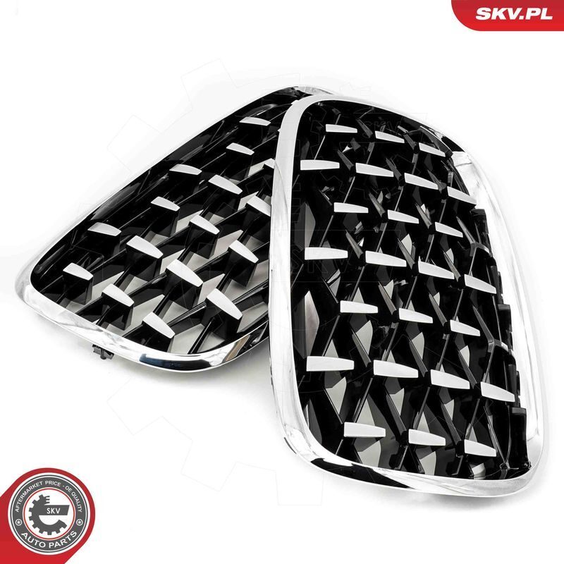 ESEN SKV, Grille de radiateur