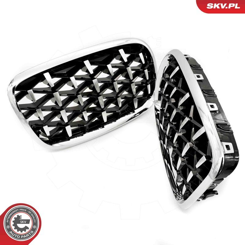 ESEN SKV, Grille de radiateur