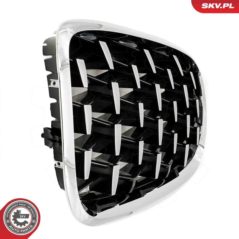 ESEN SKV, Grille de radiateur