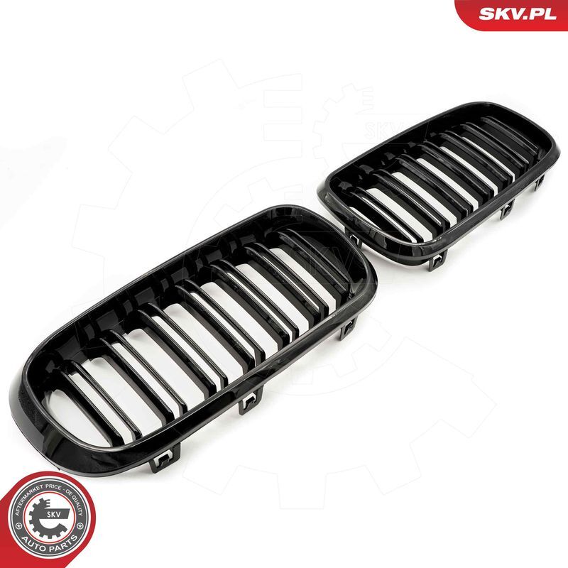 ESEN SKV, Grille de radiateur