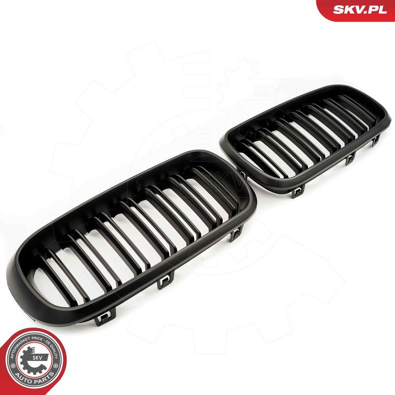 ESEN SKV, Grille de radiateur