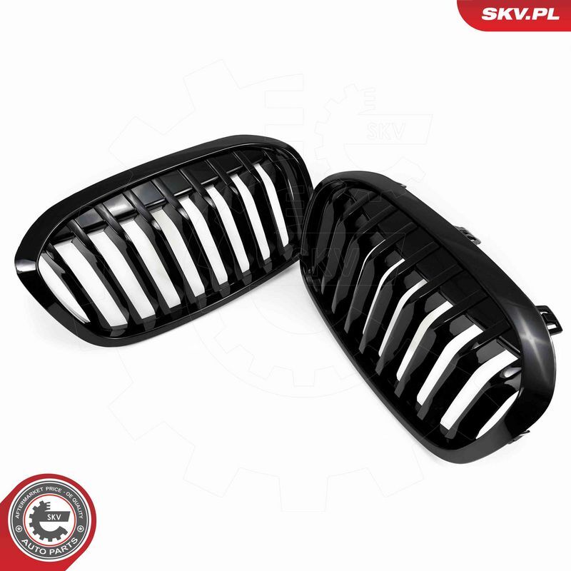 ESEN SKV, Grille de radiateur