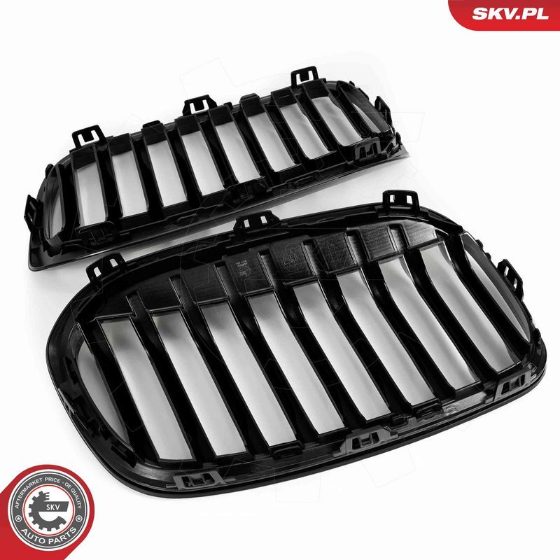 ESEN SKV, Grille de radiateur