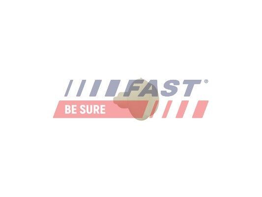 FAST, Clip, enjoliveur