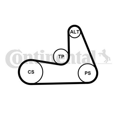 CONTINENTAL CTAM, Jeu de courroies trapézoïdales à nervures