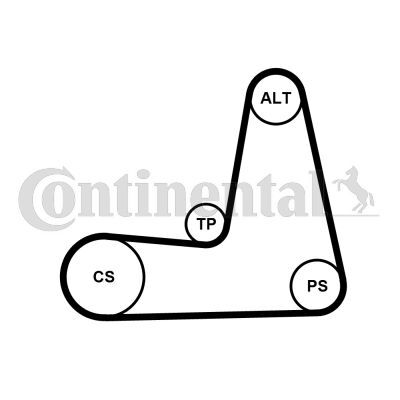 CONTINENTAL CTAM, Jeu de courroies trapézoïdales à nervures