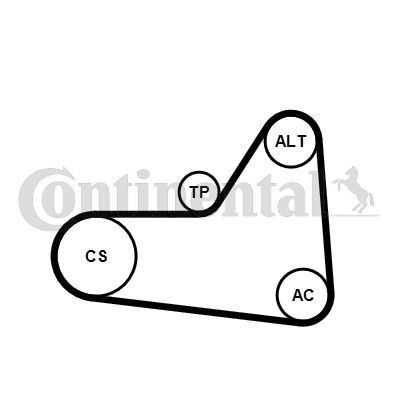 CONTINENTAL CTAM, Jeu de courroies trapézoïdales à nervures