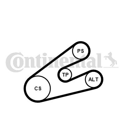 CONTINENTAL CTAM, Jeu de courroies trapézoïdales à nervures