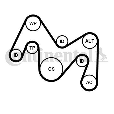 CONTINENTAL CTAM, Jeu de courroies trapézoïdales à nervures