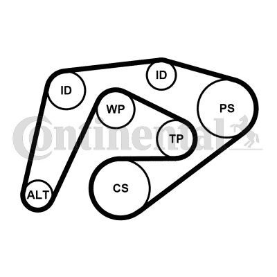 CONTINENTAL CTAM, Pompe à eau+Jeu de courroie trapézoïdale à nervures