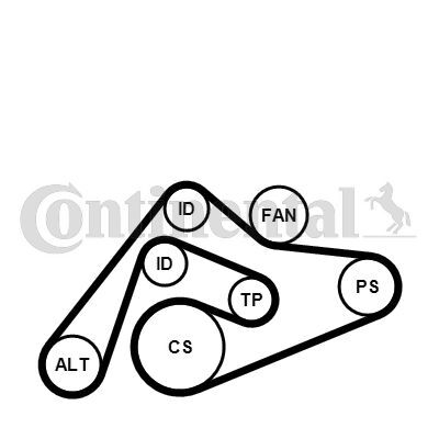 CONTINENTAL CTAM, Jeu de courroies trapézoïdales à nervures