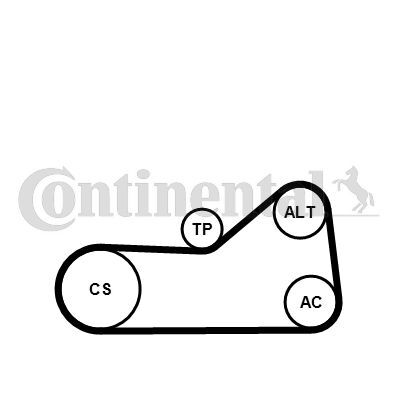 CONTINENTAL CTAM, Jeu de courroies trapézoïdales à nervures