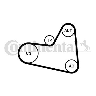 CONTINENTAL CTAM, Jeu de courroies trapézoïdales à nervures