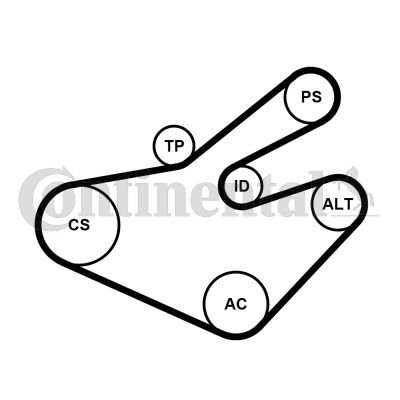 CONTINENTAL CTAM, Jeu de courroies trapézoïdales à nervures