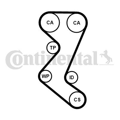 CONTINENTAL CTAM, Courroie de distribution