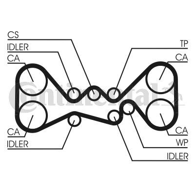 CONTINENTAL CTAM, Kit de distribution