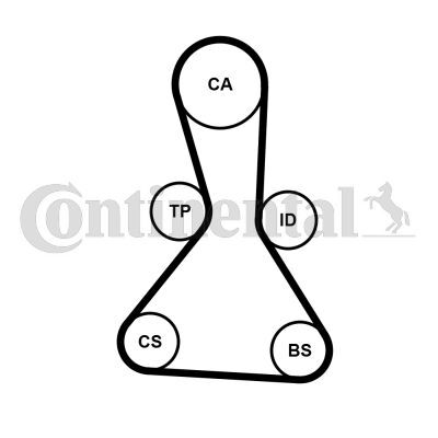 CONTINENTAL CTAM, Courroie de distribution